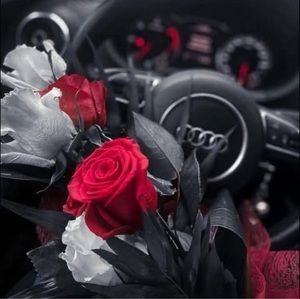 Meet your Posher, Ļïďïä